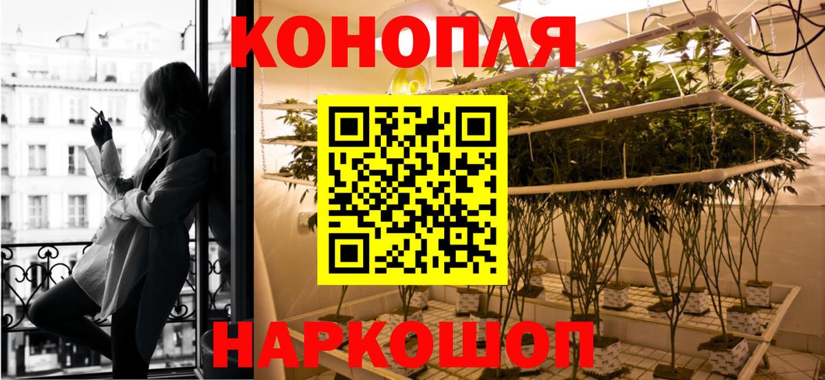 Канабис семена Черняховск